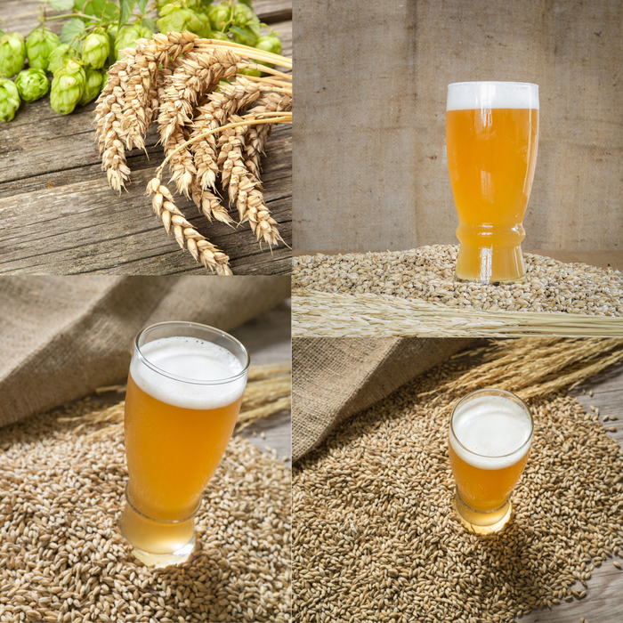 1 Gallon Nano-brew | German Hefeweizen [Partial Mash] Recipe Kit