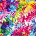 Splash - Multi Bright 108" Wide Backing | Henry Glass  2449WB-1