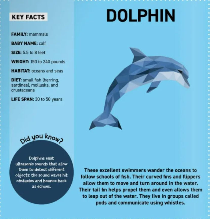 Activity Book - My Sticker Paintings Ocean Animals
