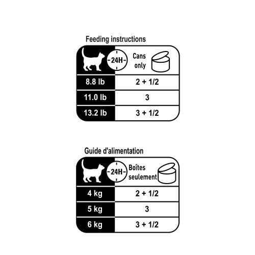 Aging 12+ Thin Slices