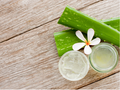 Aloe Vera FO