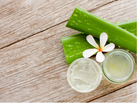 Aloe Vera FO
