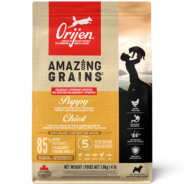 Amazing Grains Puppy