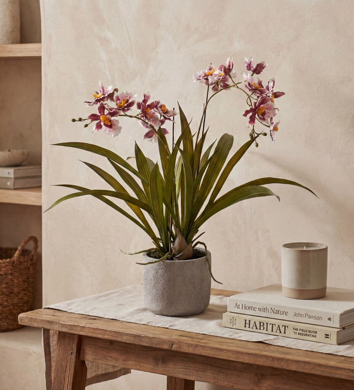 Artificial Burgundy Orchid & pot