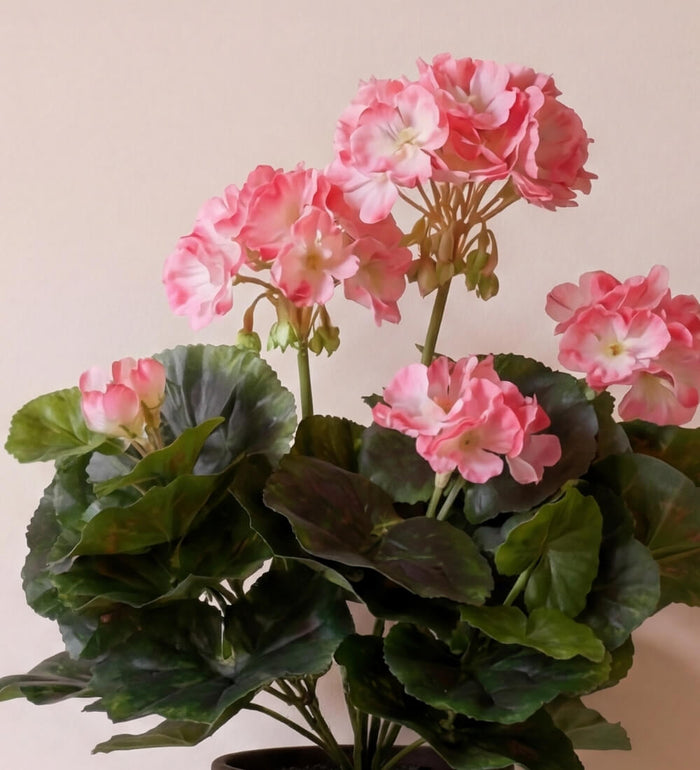 Artificial Geranium & Grey Pot