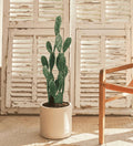 Artificial Myrtillo Cactus