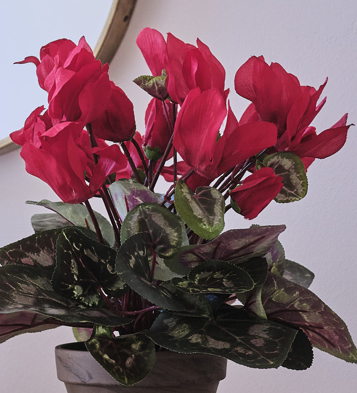 Artificial Red Cyclamen