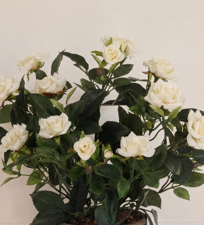 Artificial Rosebush & Grey Pot