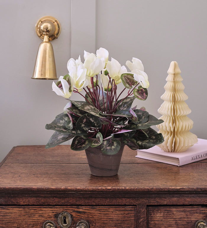 Artificial White Cyclamen