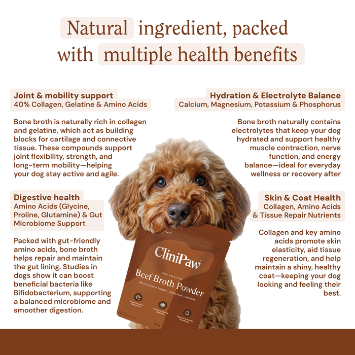 Beef Broth Powder