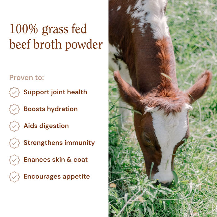 Beef Broth Powder