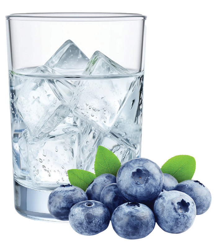 Blueberry Hard Seltzer Recipe Kit