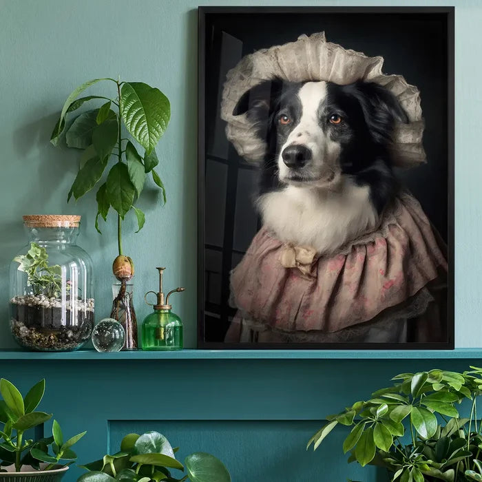 Border Collie Dog Portrait Print, quirky altered art print black framed on a living room shelf