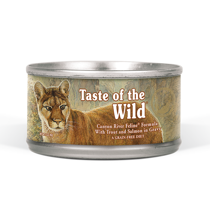 Canyon River Feline