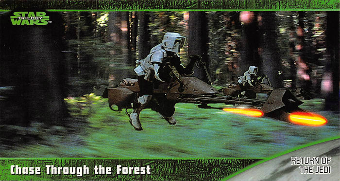 Chase Through The Forest