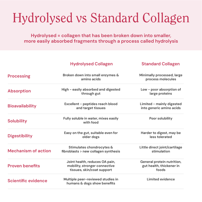 Collagen