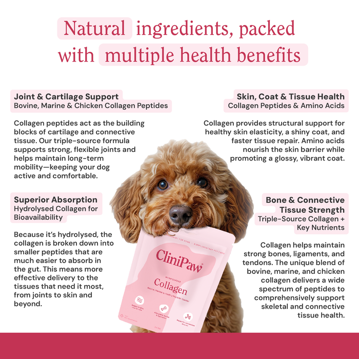 Collagen