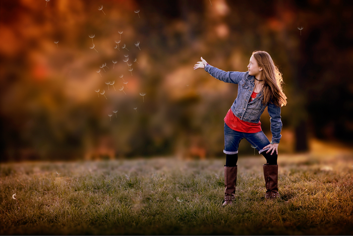 Dandelions animated overlays