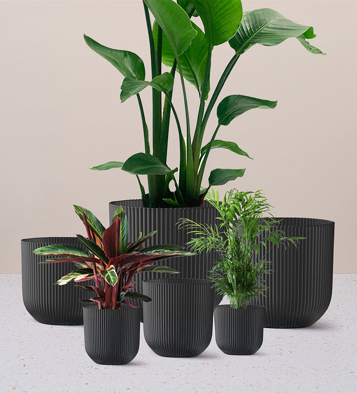 Dark Grey Elho Vibes Pot (16cm)