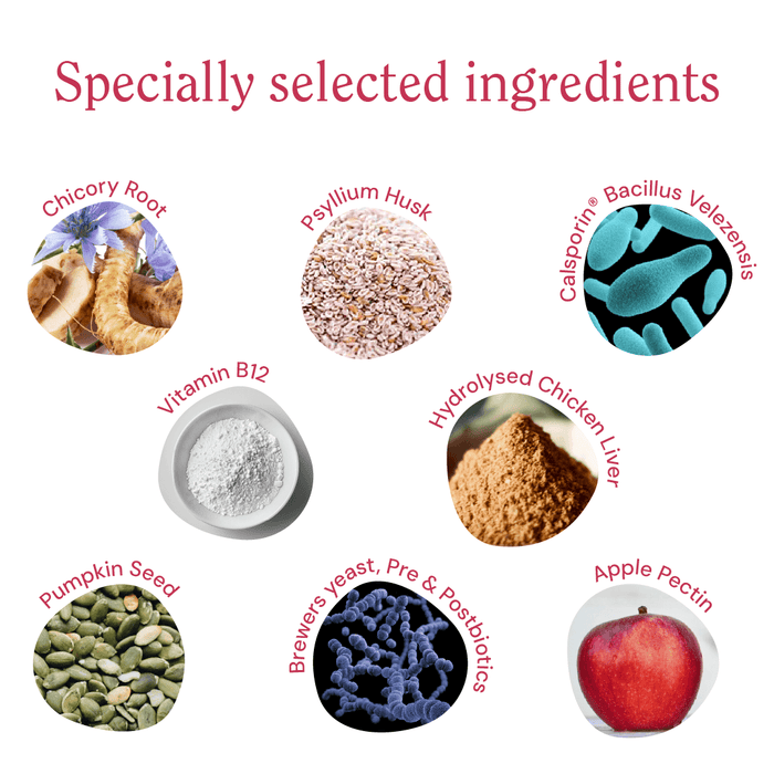 CliniPaw Digestion supplement - little swatches of the ingredients it contains - chicory root, psyllium husk, Calsporin, vitamin B12, pumpkin seed, brewers yeast, apple pectin, hydrolysed chicken liver