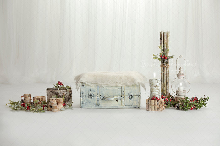 Digital Backdrop