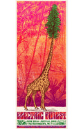 Electric Forest Festival - 2012
