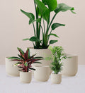 Linen White Elho Vibes Pot range