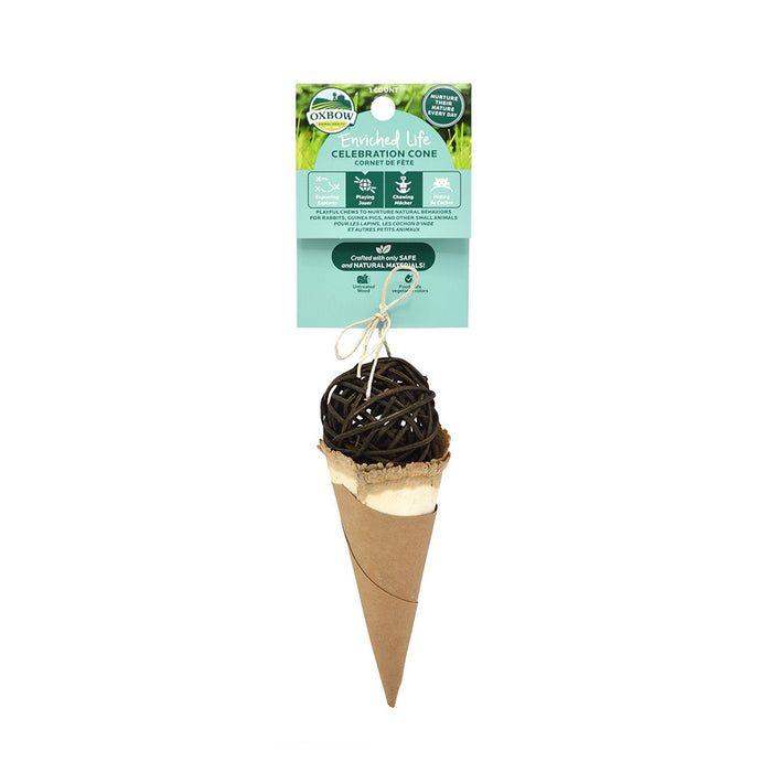 Enriched Cone
