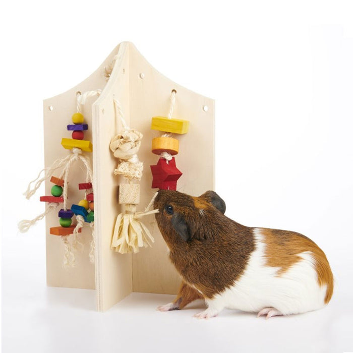 Enriched Play Center