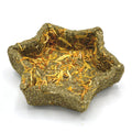 Enriched Star Dish