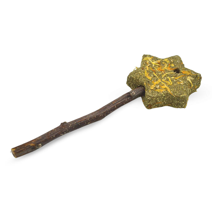 Enriched Timothy Wand