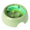 Forage Bowl Small