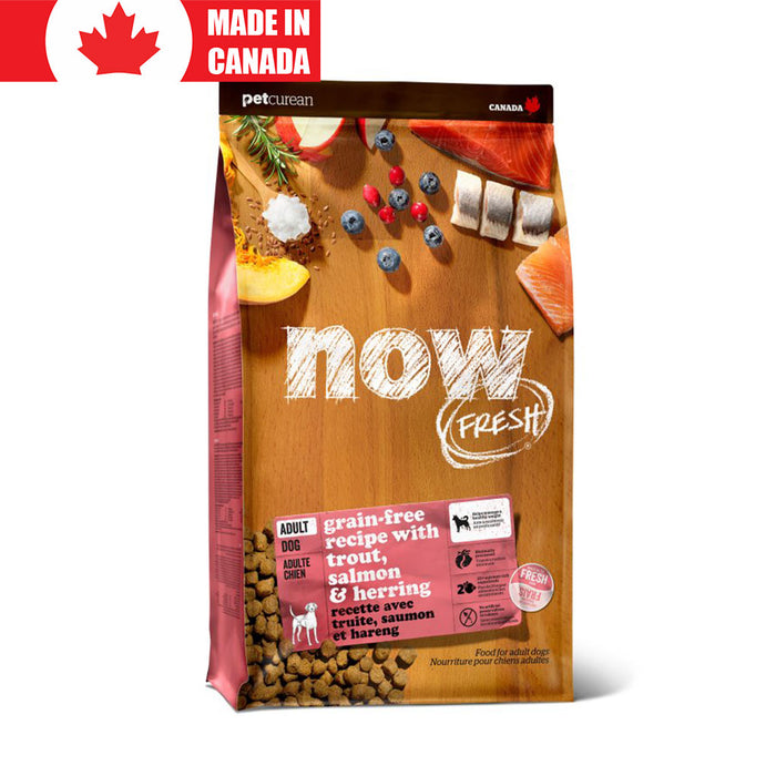 GF Fish Adult