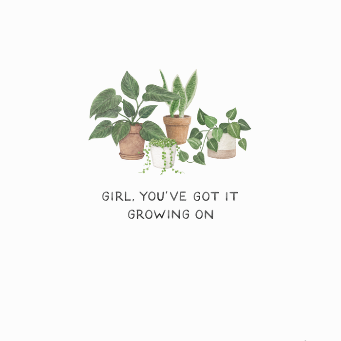 667879_LIT_PDF_BeardsandDaisies-front