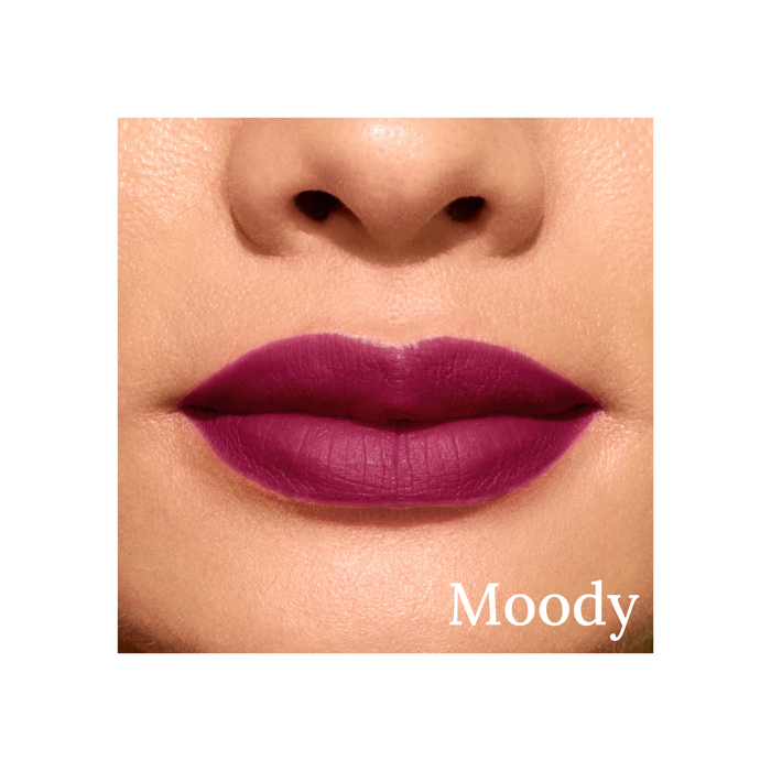 Going Steady Matte Longwear Lip