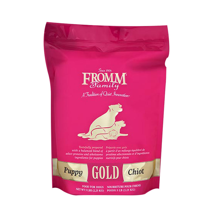 Gold Puppy - SPECIAL ORDER
