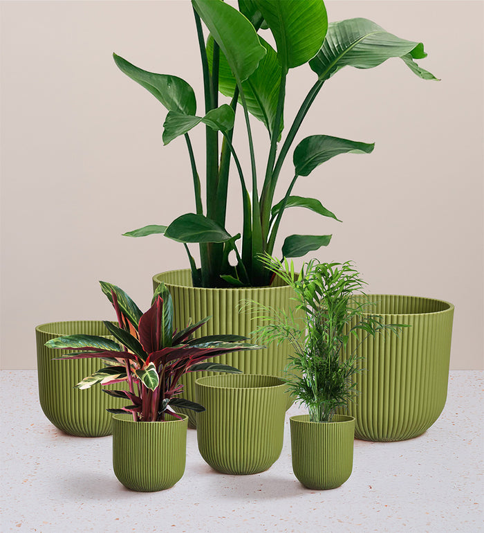 Green Elho Vibes Pot (16cm)