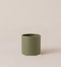 Green Era Pot 7cm