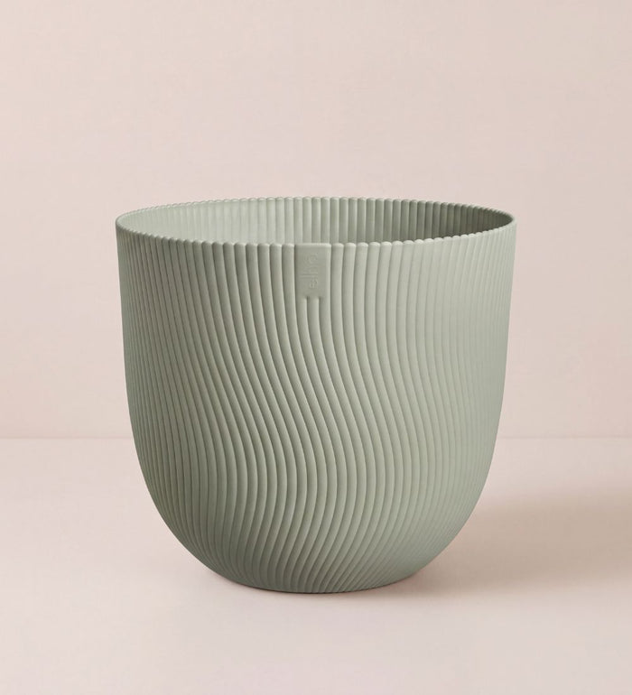 Green Sereh Pot 25cm