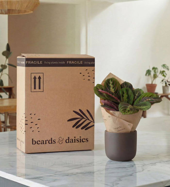 Grey Bergs Potter Copenhagen Pot (25cm)