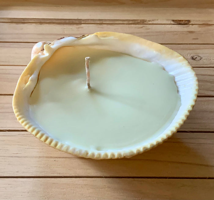 Handmade Seashell Candle