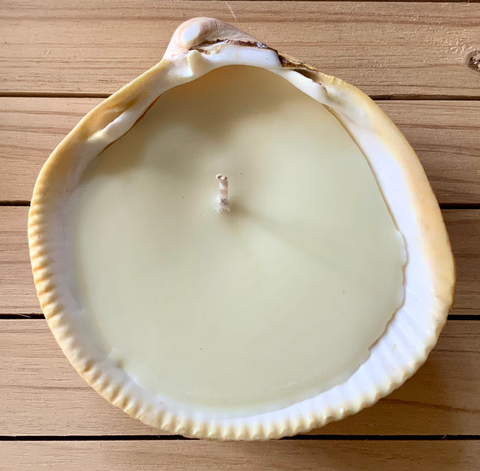 Handmade Seashell Candle