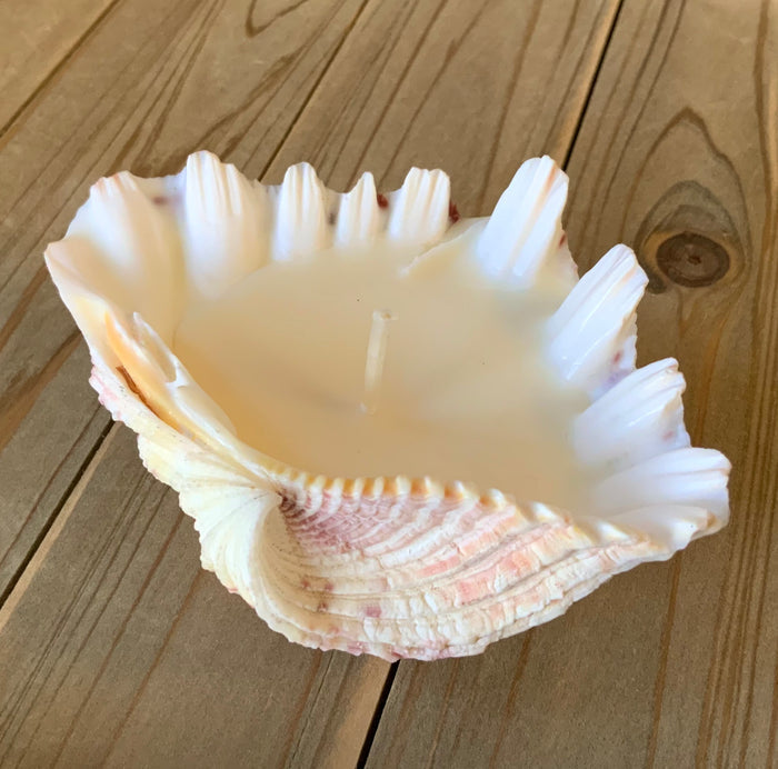 Handmade Seashell Candle