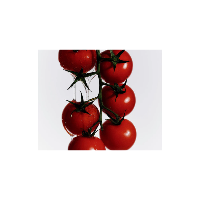 Heirloom Tomato Hand Lotion