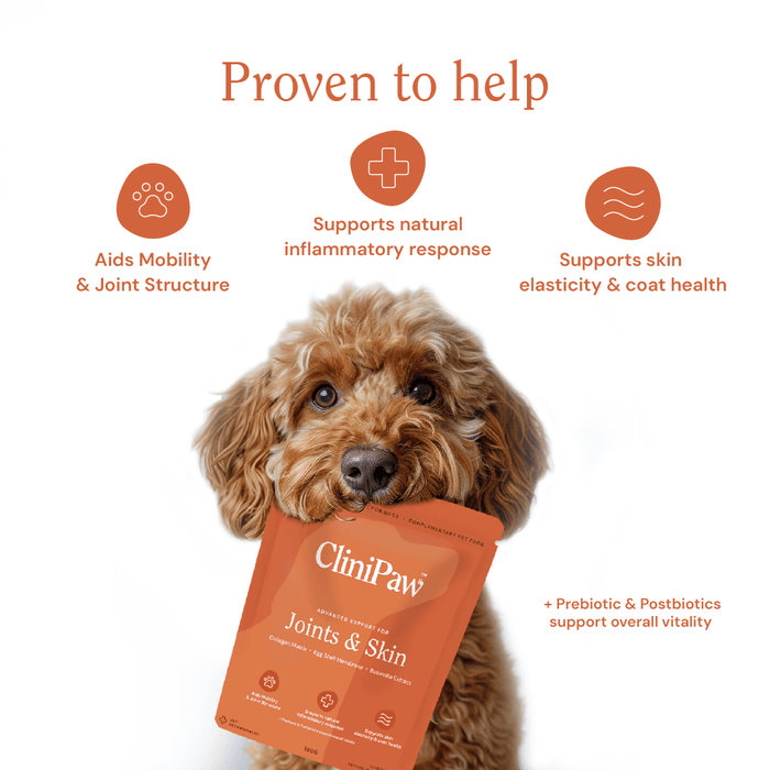 CliniPaw Digestion supplement benefits - Aids mobility & joint structure, Supports natural inflammatory response, supports skin elasticity & coat health
