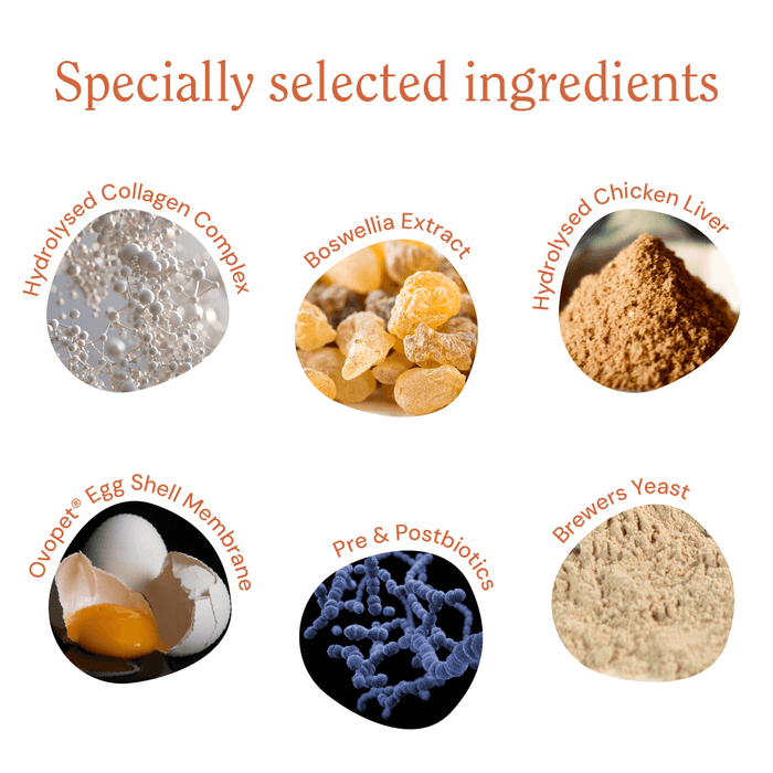 CliniPaw Joints & Skin supplement - little swatches of the ingredients it contains - hydrolysed collagen comples, boswellia extract, Ovopet egg shell membrane, pre & postbiotics, brewers yeast, hydrolysed chicken liver