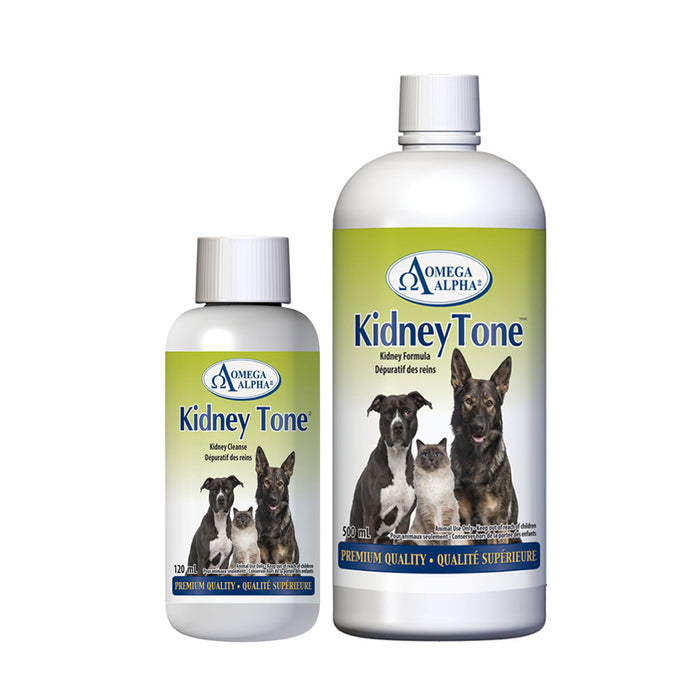 Kidney Tone
