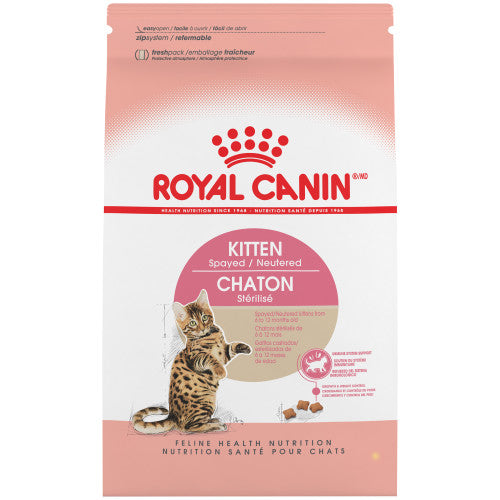 Kitten Spayed/Neutered