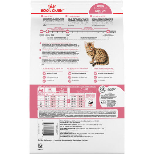 Kitten Spayed/Neutered