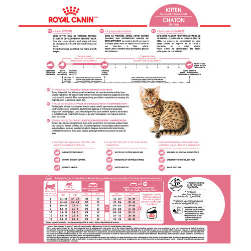 Kitten Spayed/Neutered